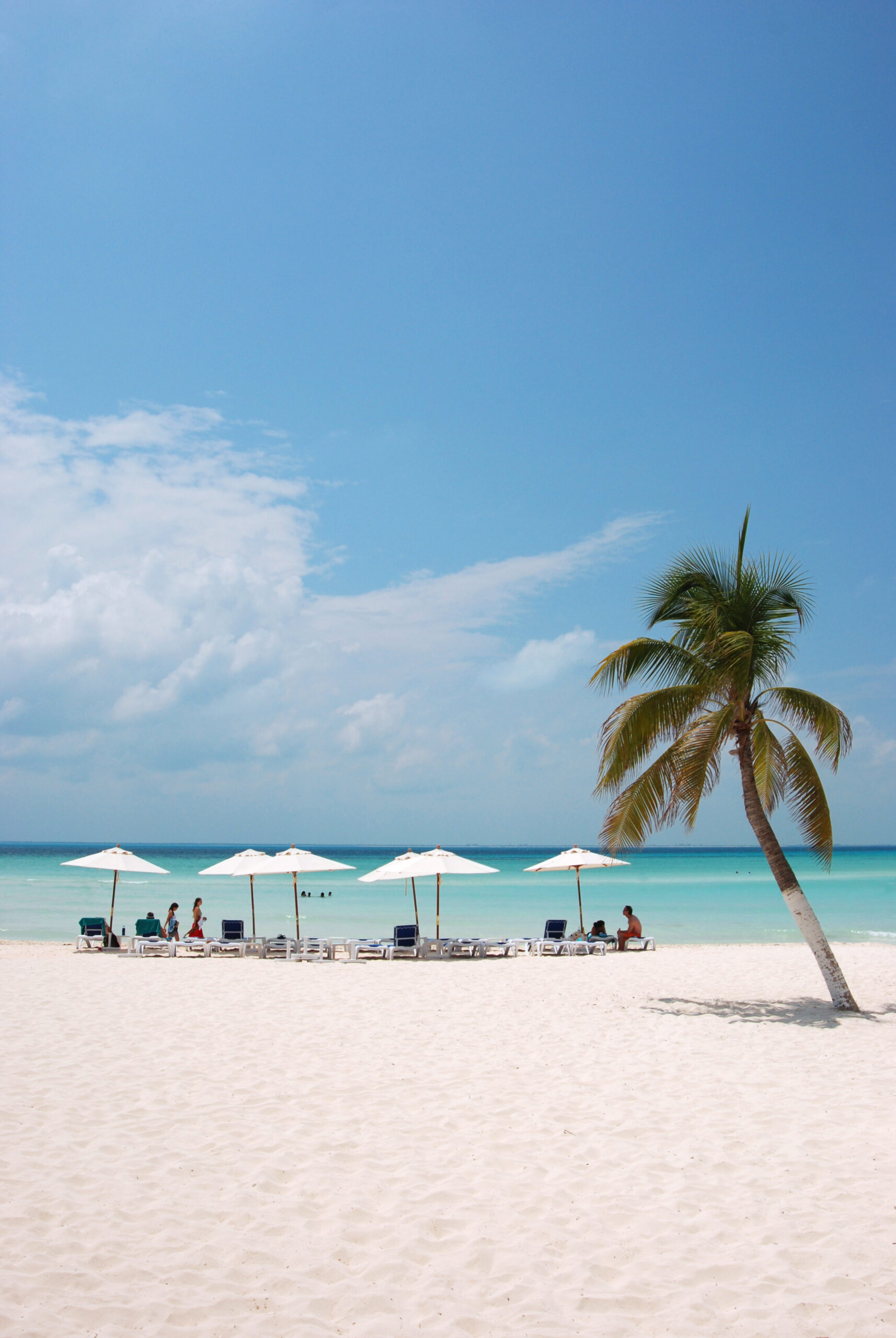 Las cinco islas imperdibles del Caribe Mexicano