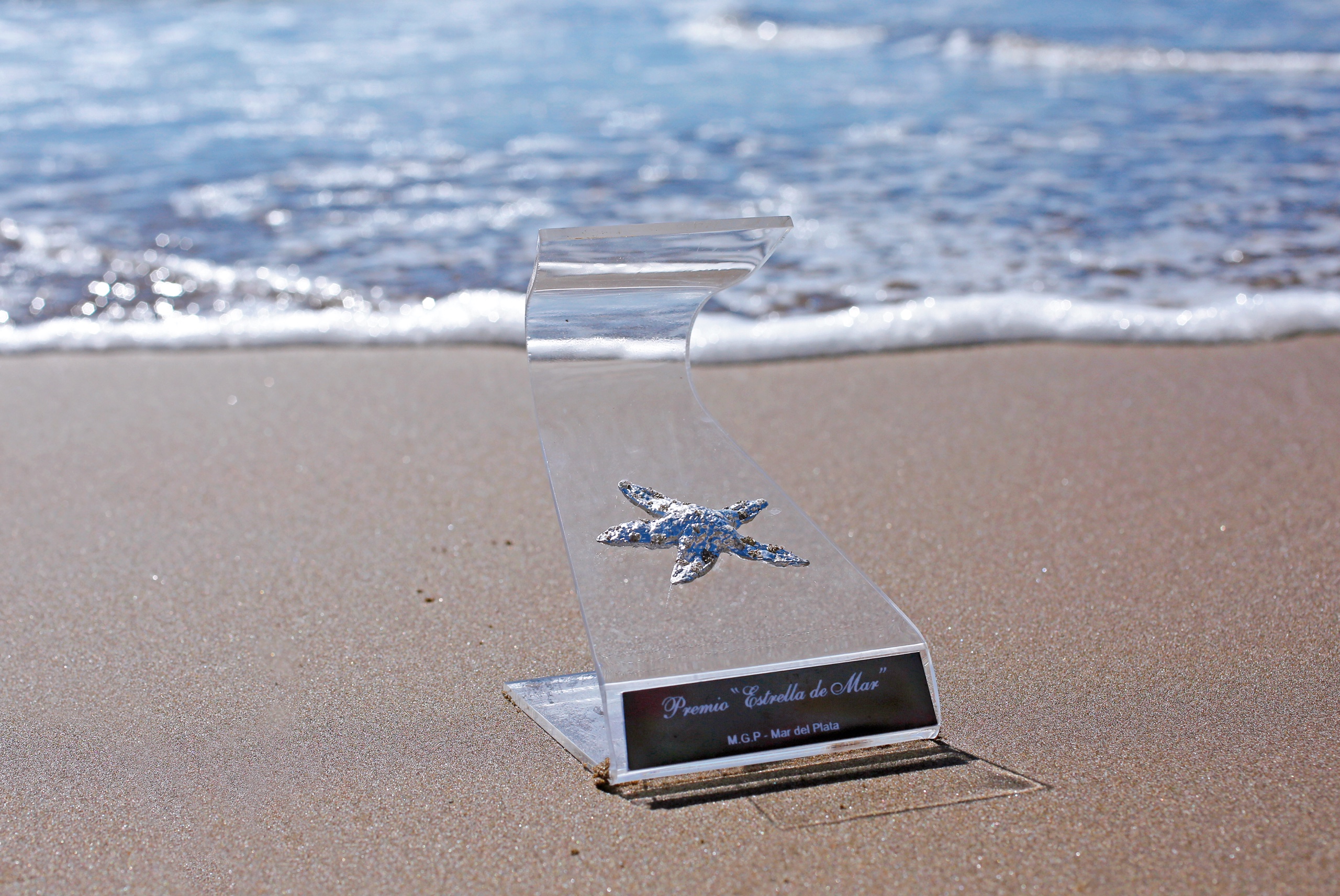 Se encuentra abierta la inscripción para los Premios Estrella de Mar 2022