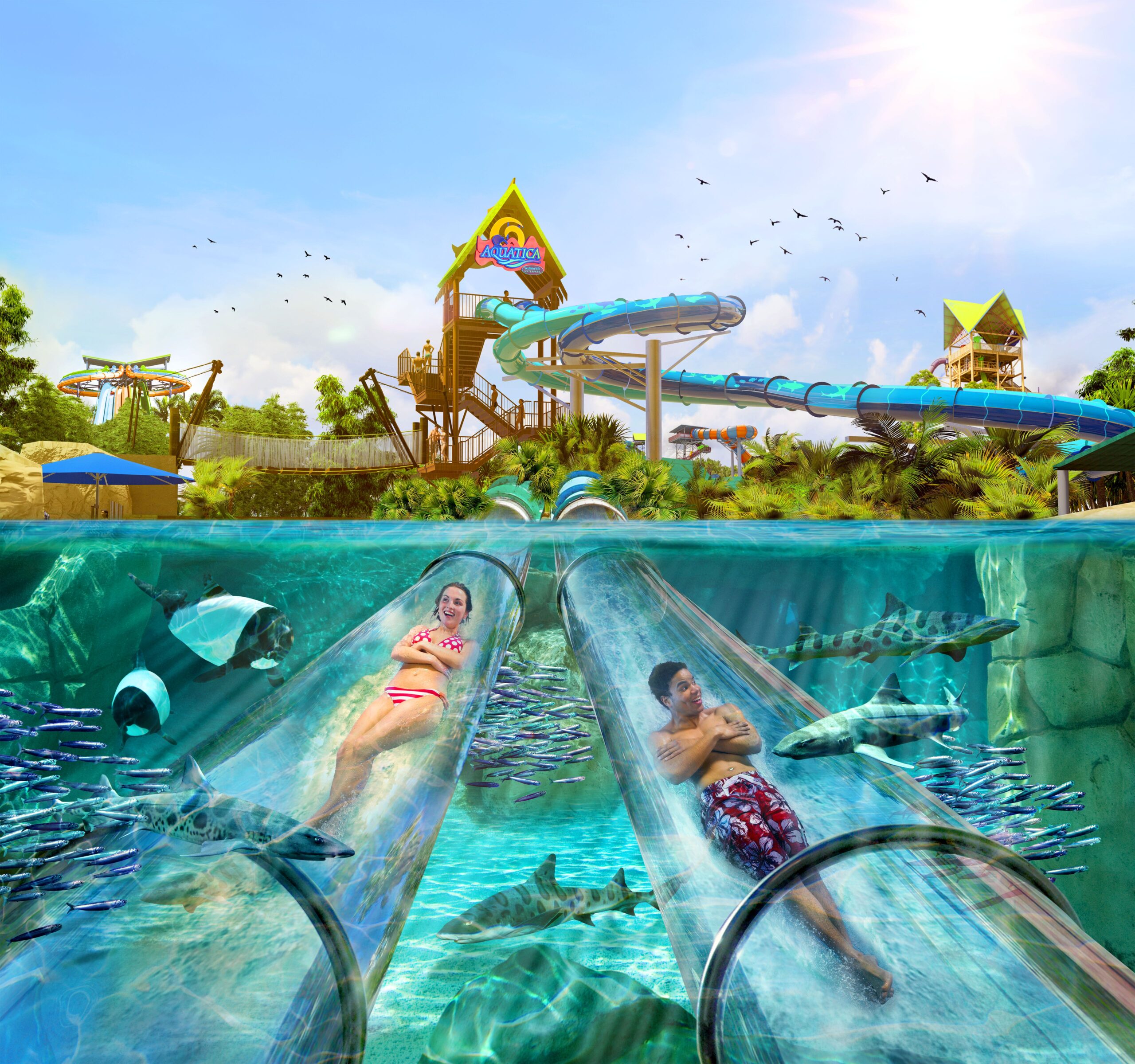 Parques del grupo SeaWorld en Florida anuncian novedades para el verano
