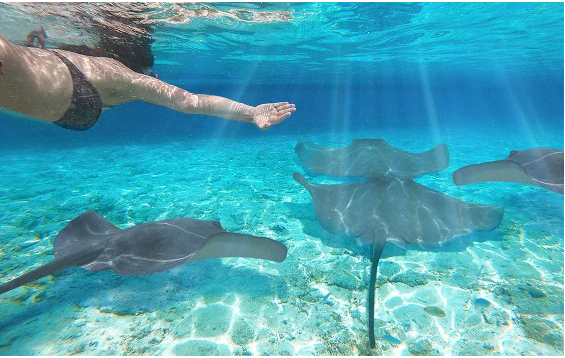 ¡El país de las maravillas existe y se encuentra en el caribe! Costa Cruceros te invita a descubrir el paraíso tropical