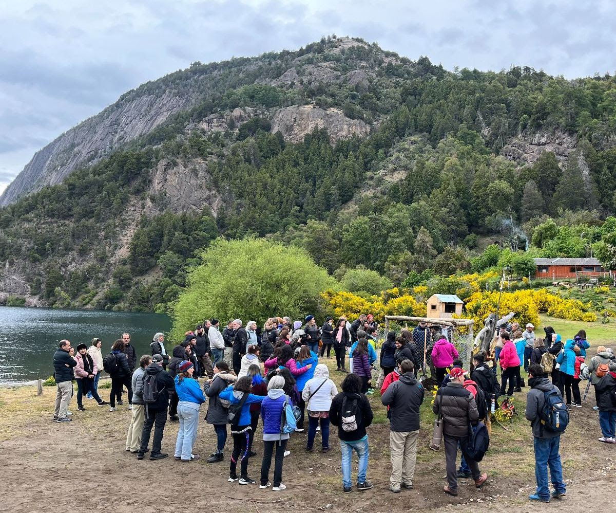 PATAGONIA CANTA: GRAN CANTIDAD ÁRBOLES FUERON PLANTADOS EN EL PARQUE NACIONAL LANÍN
