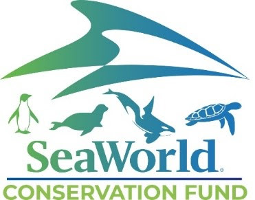 El Fondo de Conservación de SeaWorld supera los $19 millones en subvenciones; En 2021, diez nuevos programas de protección de la vida marina fueron beneficiados