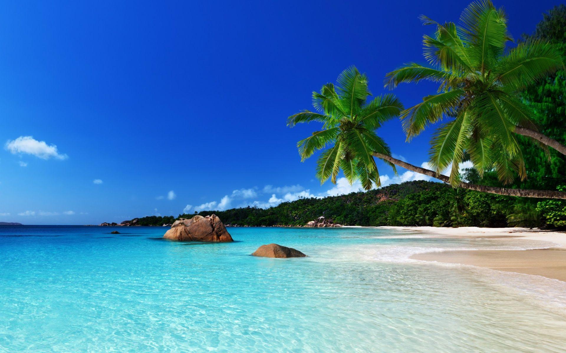 Por donde comenzamos a recorrer Jamaica?
