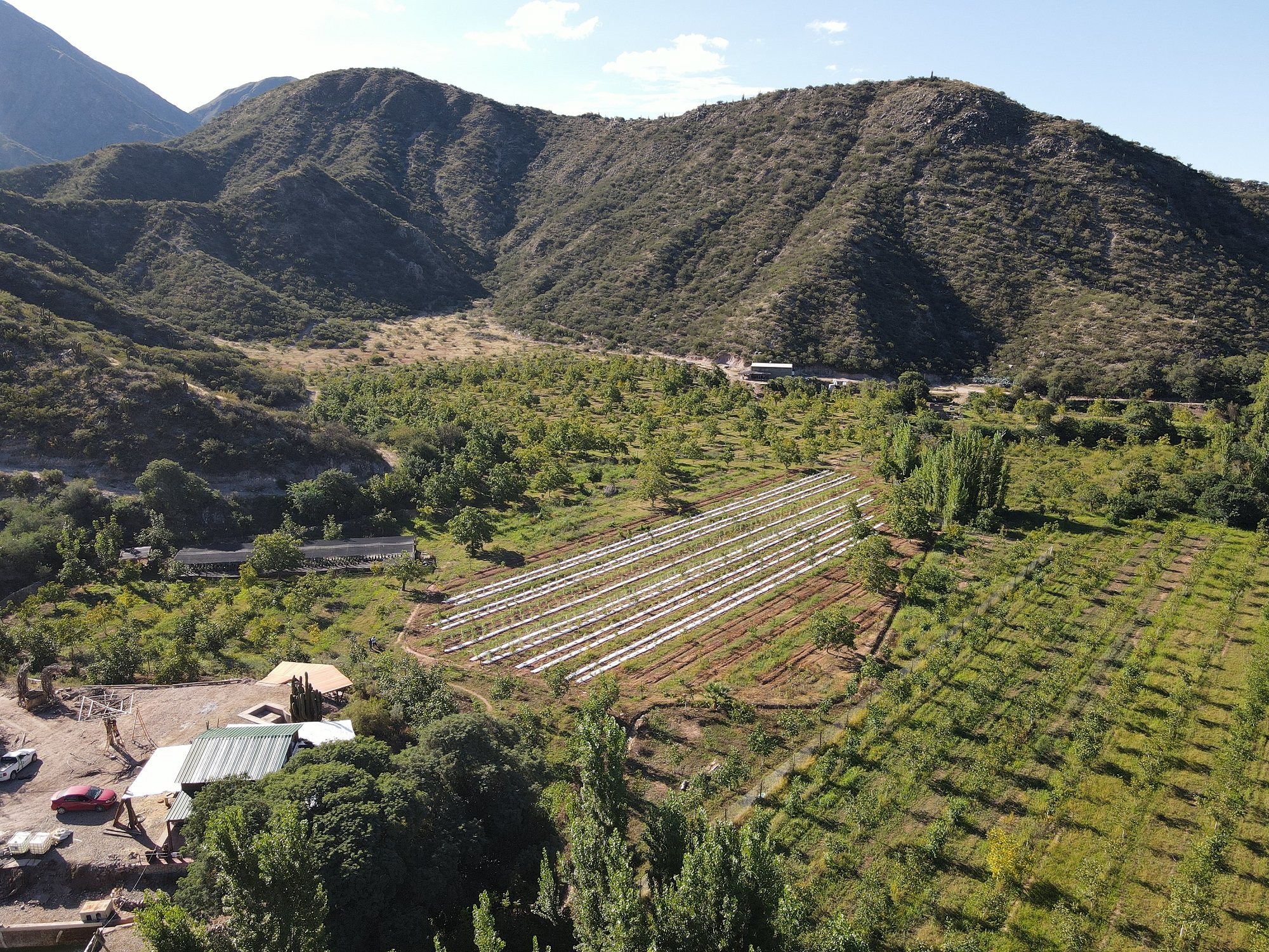 Se inauguró la primera finca de turismo cannábico argentina en La Rioja