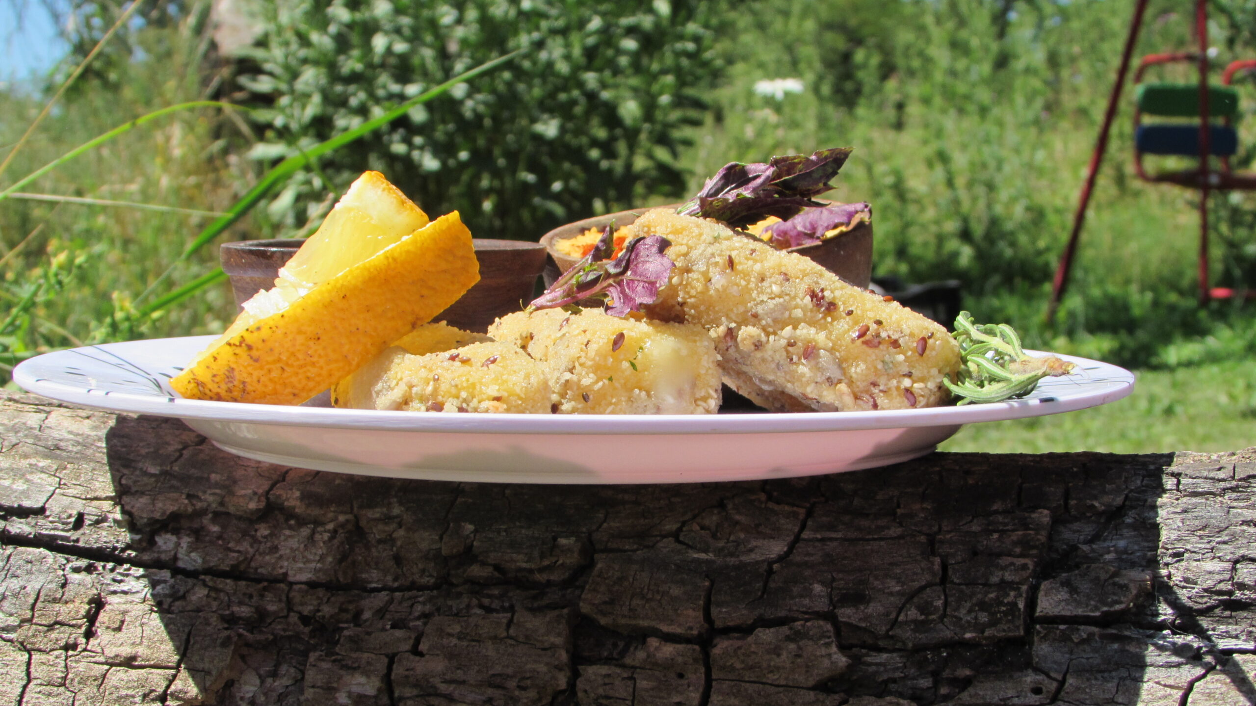 PICADAS Y COMIDAS VEGANAS EN TAPALQUÉ