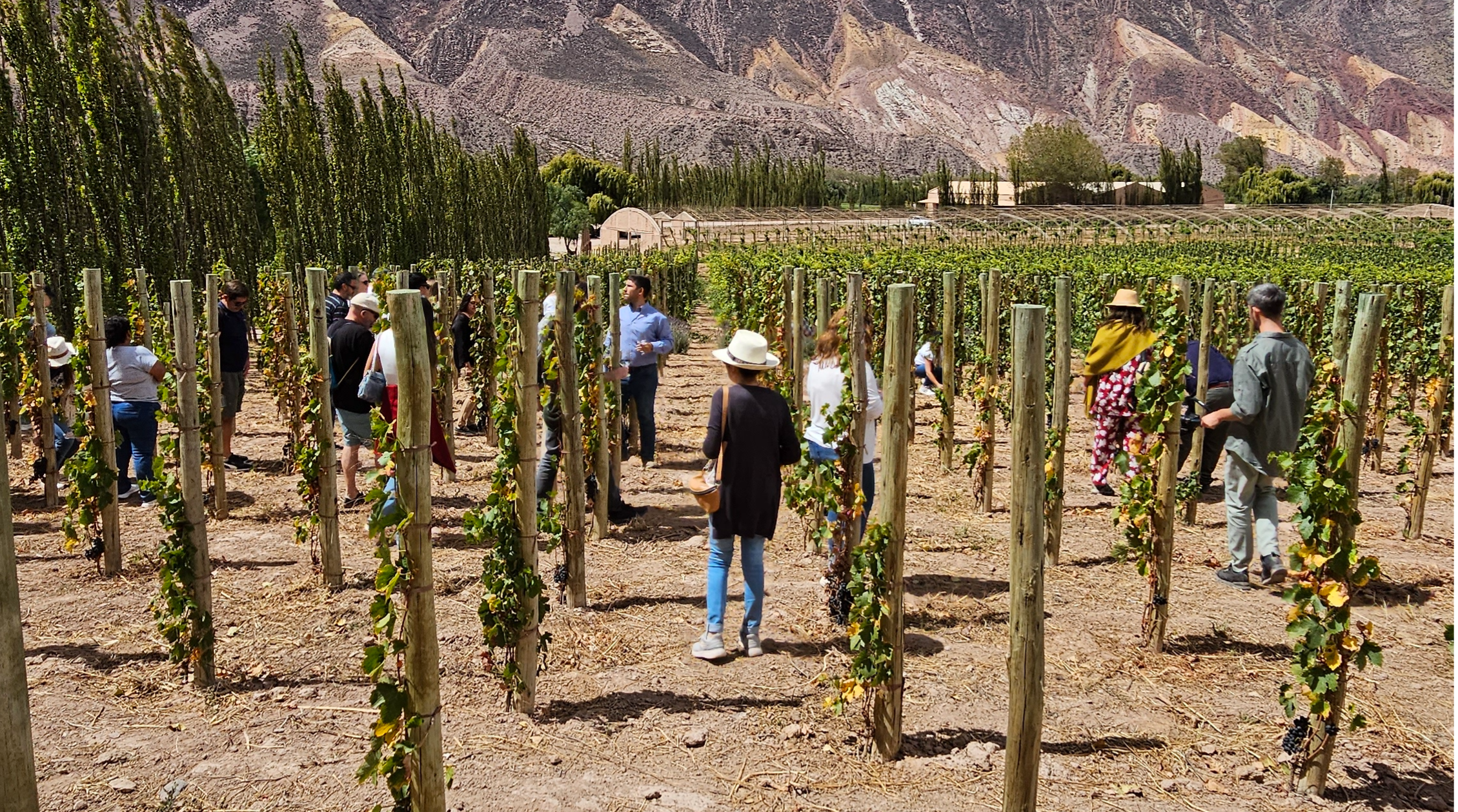 ¡Una nueva edición de la vendimia de El Bayeh en la Quebrada de Humahuaca!