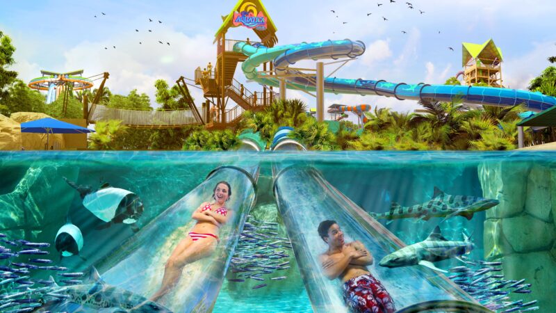 Parques del grupo SeaWorld en Florida anuncian novedades para el verano