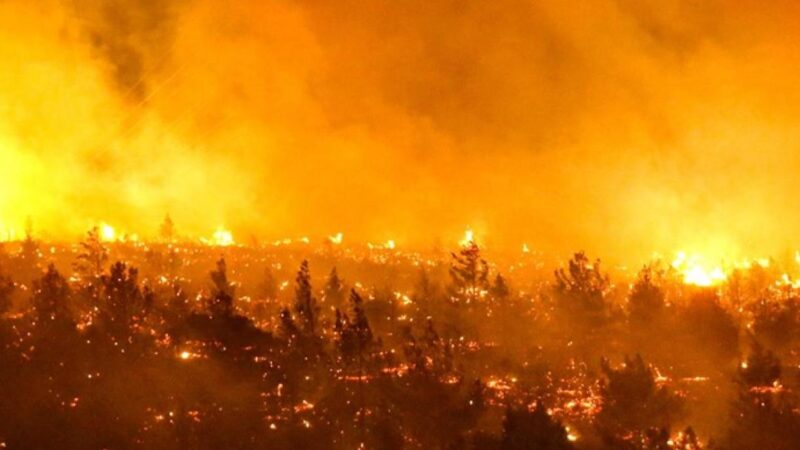 Chile llama a turistas a informarse sobre estado de atractivos turísticos debido a incendios forestales