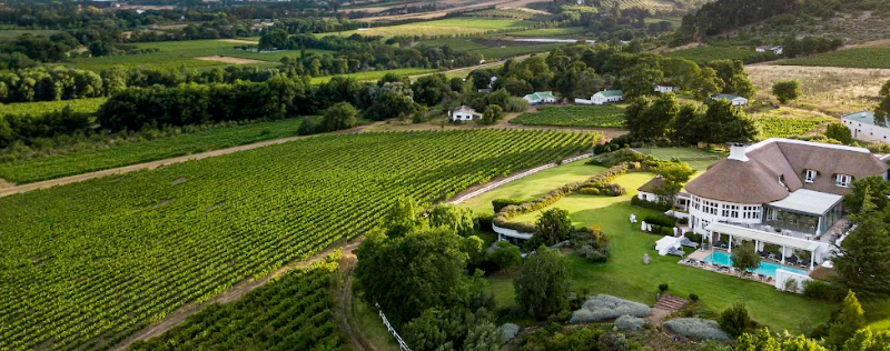 Premian vinos de la bodega de Richard Branson en Sudáfrica, Mont Rochelle