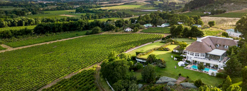 Premian vinos de la bodega de Richard Branson en Sudáfrica, Mont Rochelle