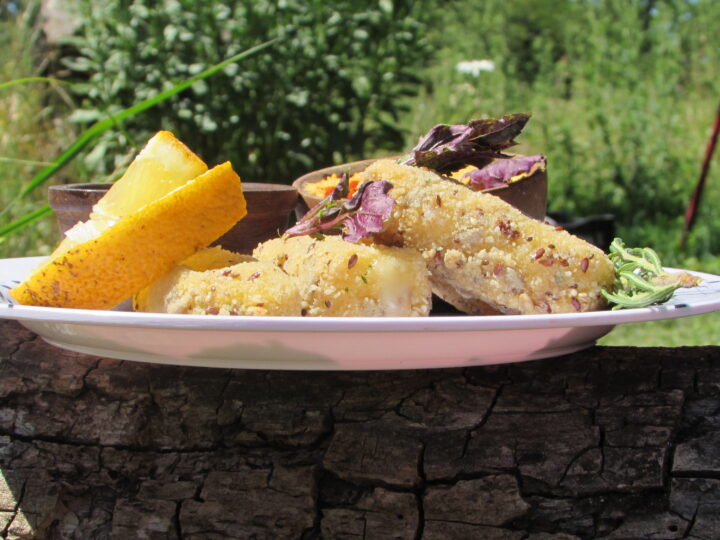 PICADAS Y COMIDAS VEGANAS EN TAPALQUÉ