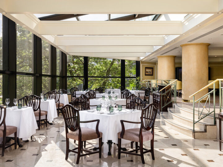 Tradición estadounidense en Buenos Aires: Park Tower Hotel celebra Thanksgiving