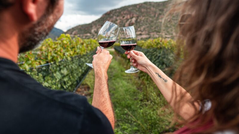 La Rioja será sede de las III Jornadas Nacionales de Turismo del vino