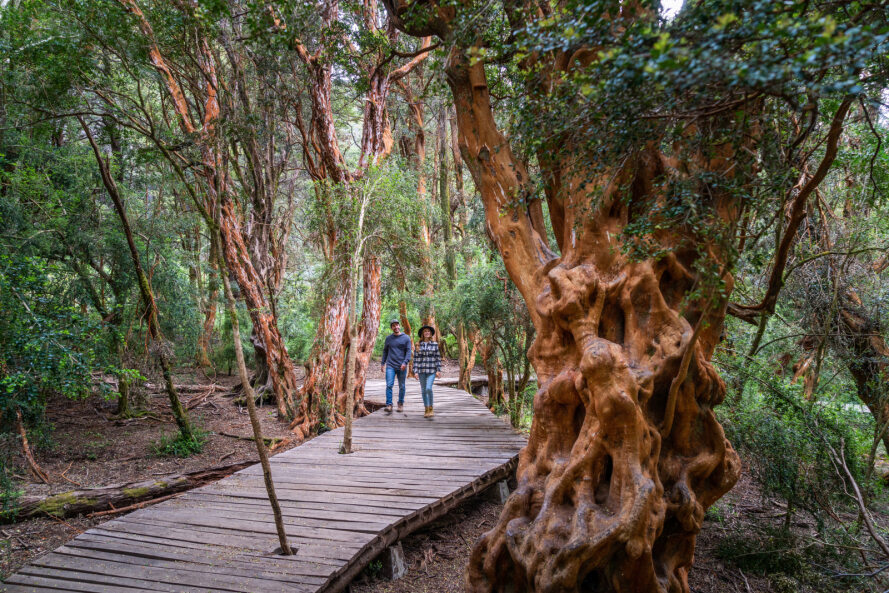 Descuentos y promociones para viajar en junio por el país en Argentina emerge