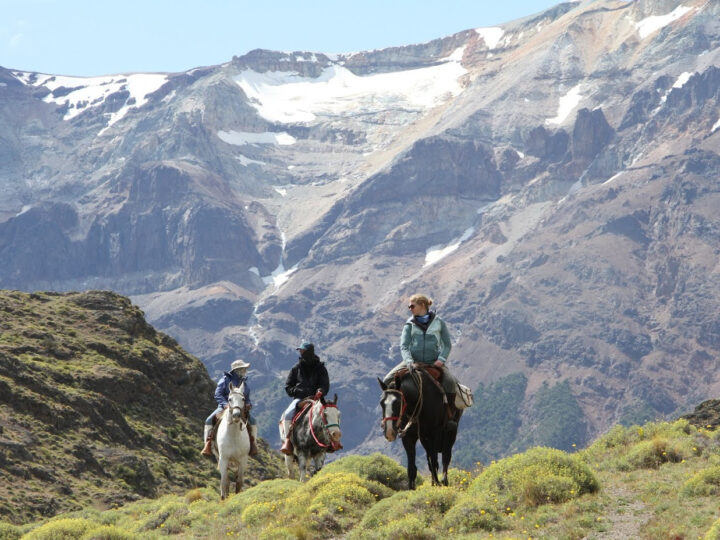Estancia La Josefina: Encuentro Íntimo con la Patagonia remota