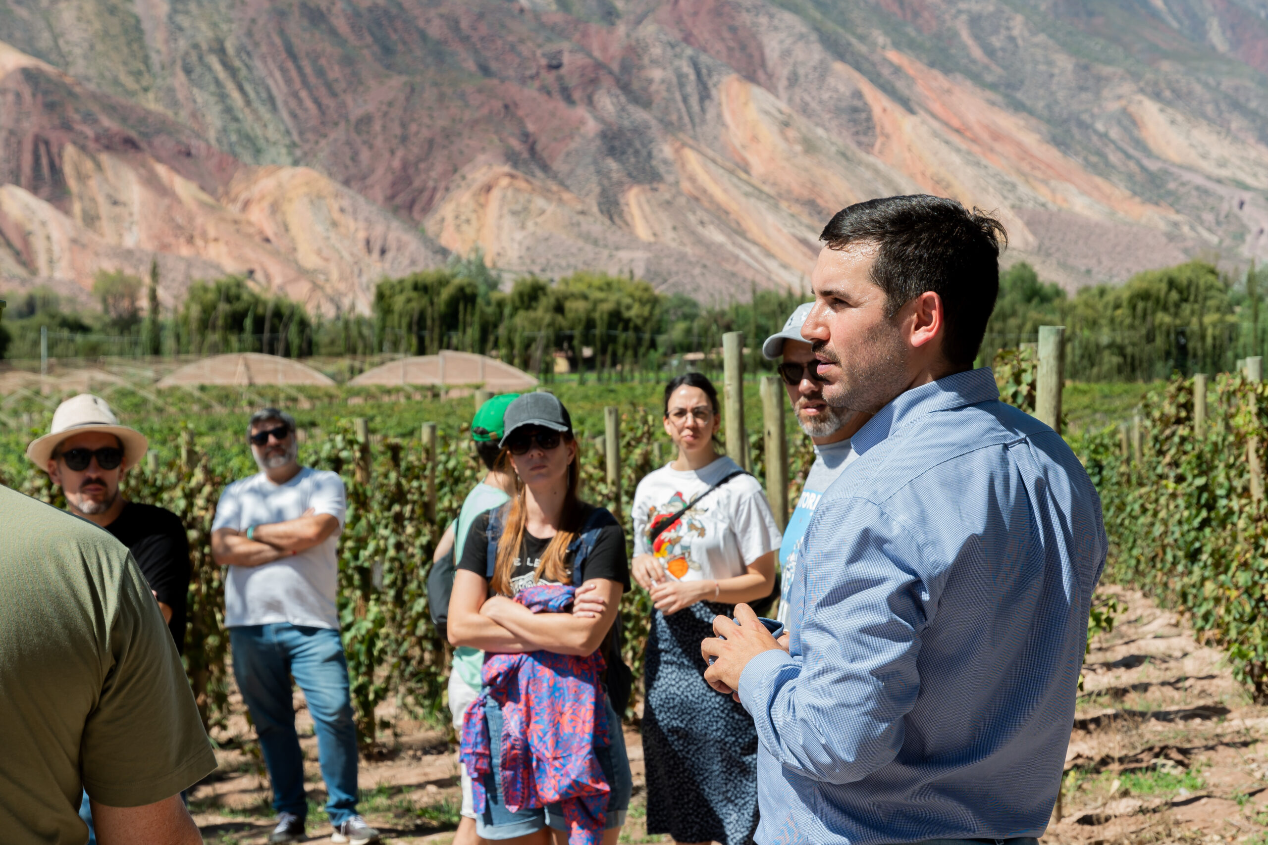 Vino, Música y Gastronomía: La Vendimia de El Bayeh se celebra en la Quebrada de Humahuaca