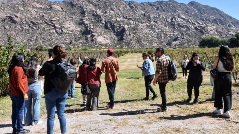 La Rioja te invita a recorrer la Ruta del Vino a bordo del Bus Turístico