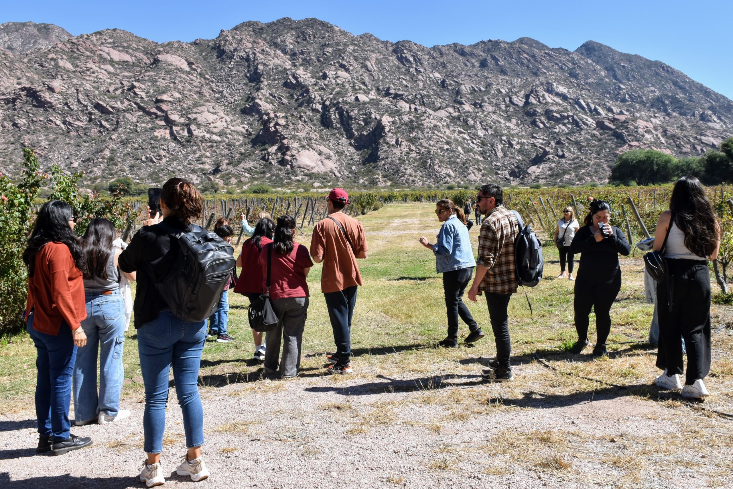 La Rioja te invita a recorrer la Ruta del Vino a bordo del Bus Turístico
