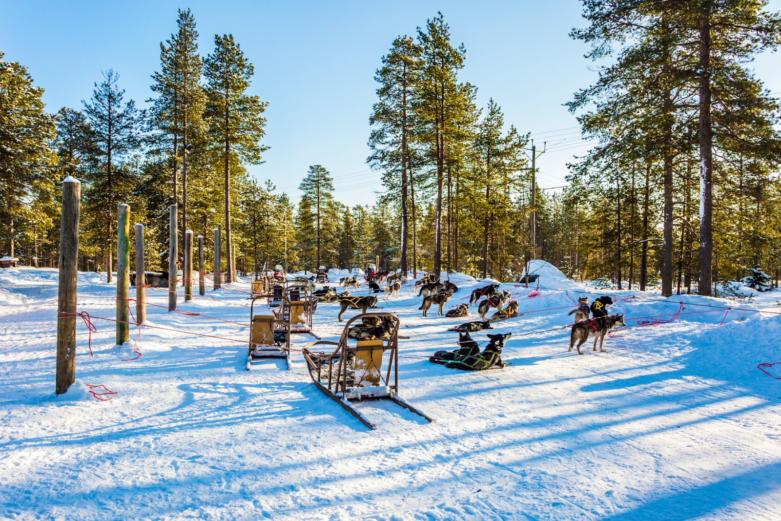 KLM suma un nuevo destino para el invierno europeo: Kittilä, Finlandia