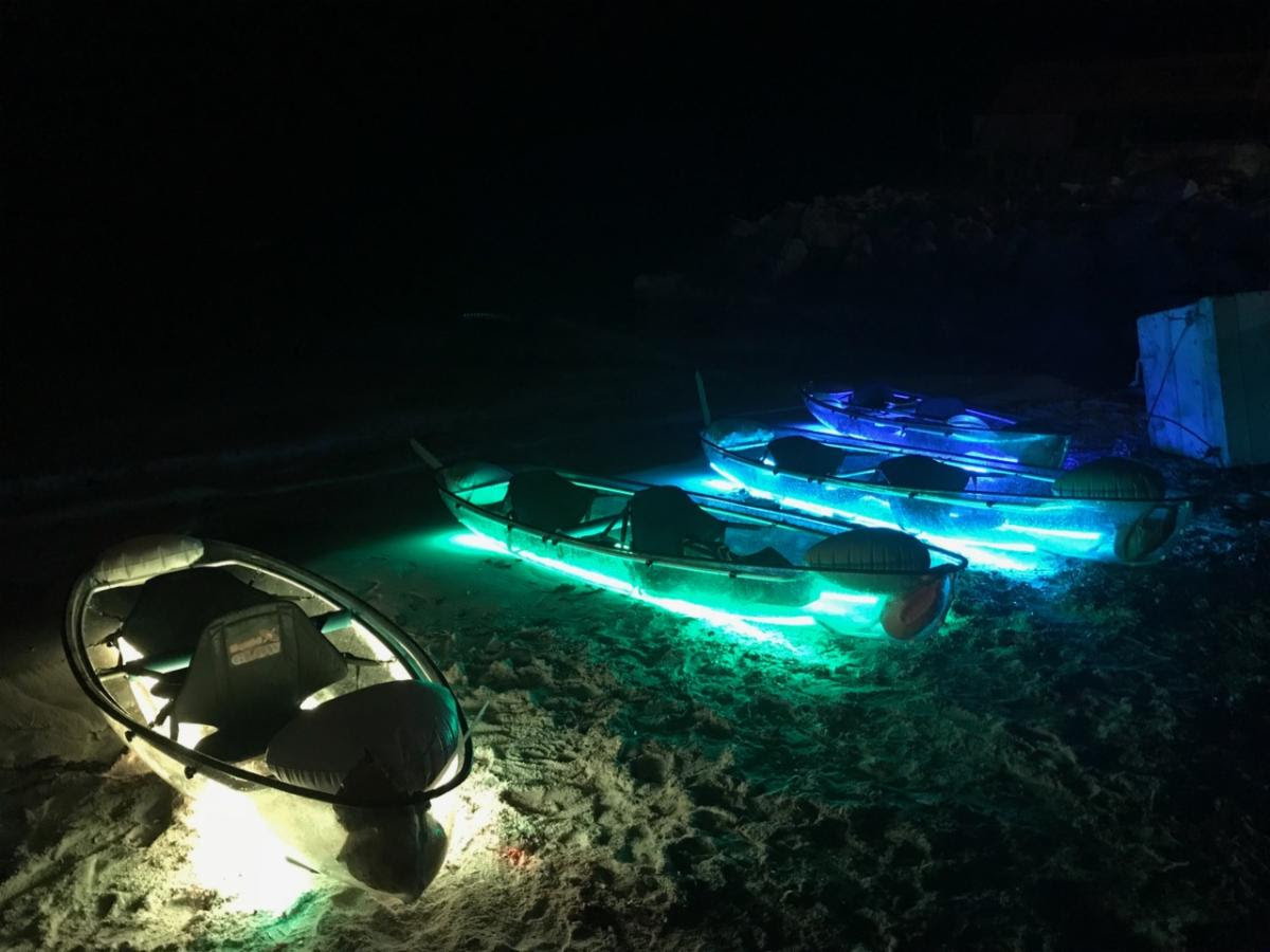 Remando bajo las estrellas: descubra la magia de Liquid Glow en Anguilla