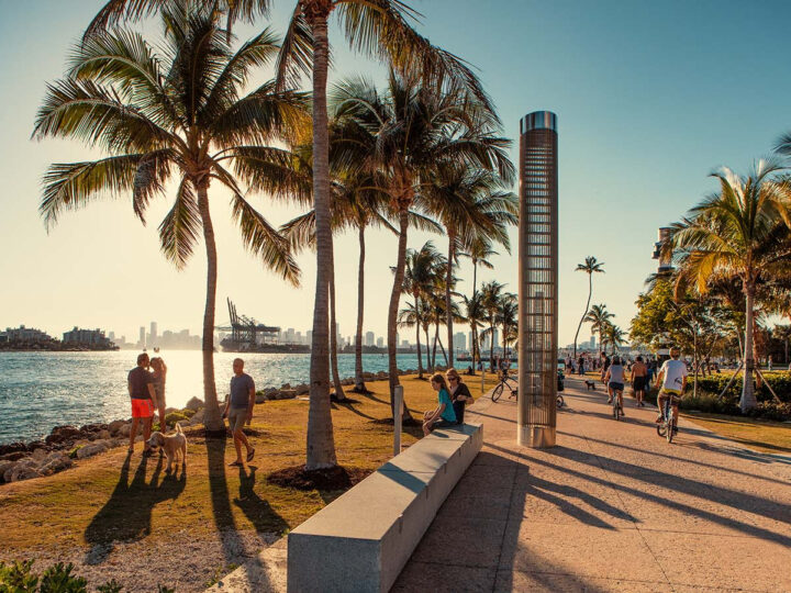 Miami en otoño: un crisol de arte, cultura y experiencias imperdibles