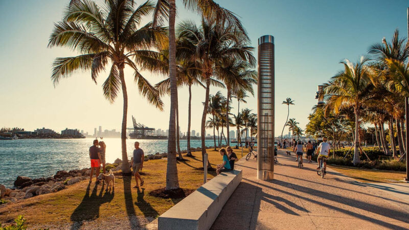 Miami en otoño: un crisol de arte, cultura y experiencias imperdibles