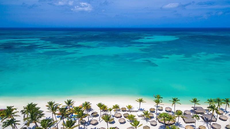 Eagle Beach elegida como la playa número 1 del Caribe en los Travellers’ Choice Awards de Tripadvisor 2026