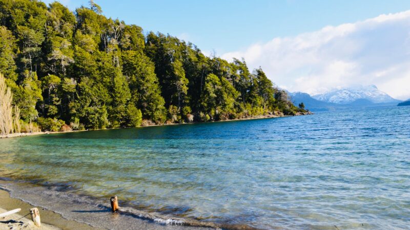 Según Booking.com ¿cuales son los 9 destinos más hospitalarios de Argentina?