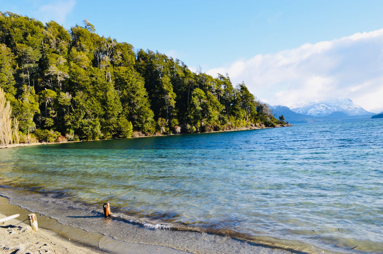 Según Booking.com ¿cuales son los 9 destinos más hospitalarios de Argentina?