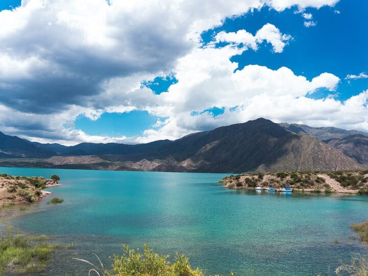 Mendoza seleccionada entre las cinco regiones vitivinícolas más destacadas del mundo