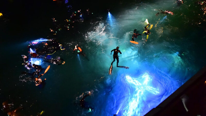 SEMANA SANTA EN MADRYN: ENTRE EL VÍA CRUCIS SUBMARINO Y LA MEJOR GASTRONOMÍA COSTERA