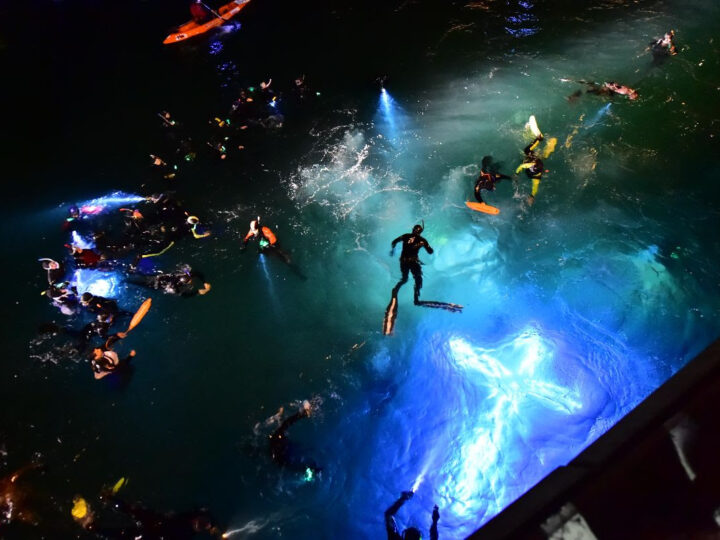 SEMANA SANTA EN MADRYN: ENTRE EL VÍA CRUCIS SUBMARINO Y LA MEJOR GASTRONOMÍA COSTERA