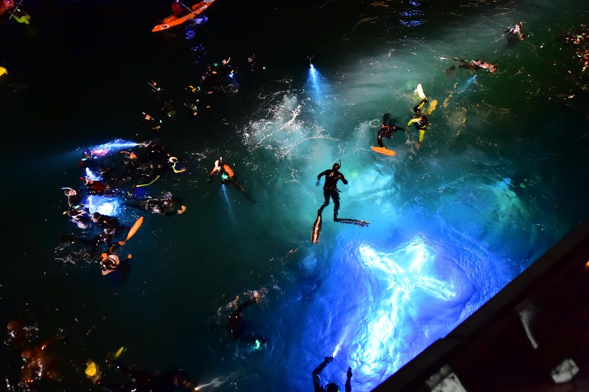 SEMANA SANTA EN MADRYN: ENTRE EL VÍA CRUCIS SUBMARINO Y LA MEJOR GASTRONOMÍA COSTERA