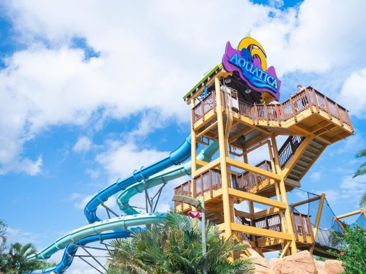 El galardonado Parque Aquatica Orlando con sus actividades en 2026, con nuevas mejoras en todo el parque y eventos reinventados