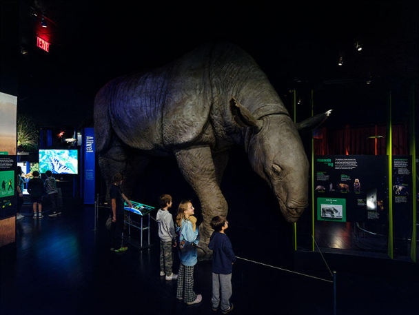 Frida Kahlo, Rafael, Rembrandt, tesoros del Antiguo Egipto… conocé las grandes exposiciones en Nueva York en 2026