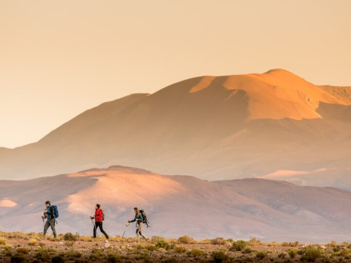 Salta en otoño: colores, calma y experiencias que invitan a descubrirla sin apuro
