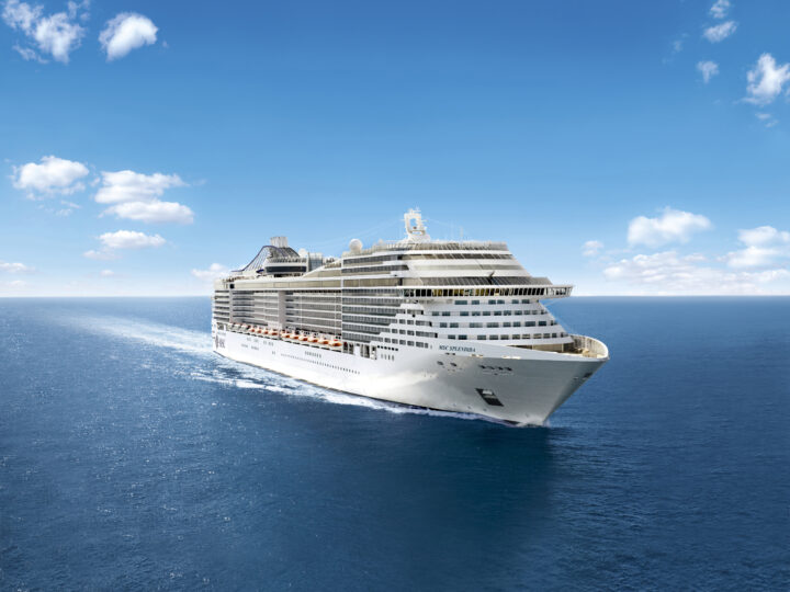 Único en el mundo: lanzan el primer crucero temático sobre hockey