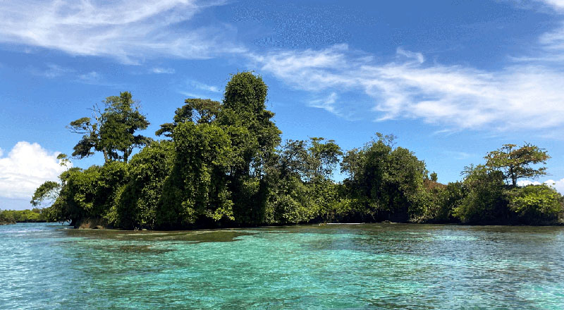 Panamá impulsa un modelo de turismo regenerativo que empieza a interesar a los argentinos