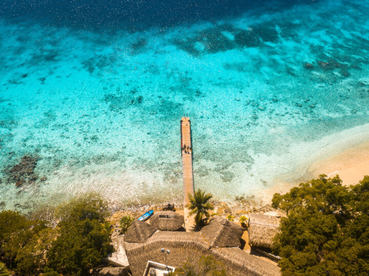 Curaçao North Sea Jazz Festival 2026: la isla se consolida como uno de los grandes ejes culturales del caribe