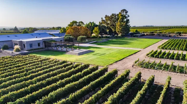 Enoturismo en Argentina: tres paisajes, tres maneras de descubrir el país a través del vino